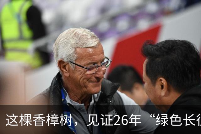 这棵香樟树，见证26年“绿色长征”